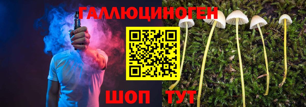 Галлюциногенные грибы Magic Shrooms  Вход с VPN  Псилоцибиновые грибы прущие грибы  Камень-на-Оби 