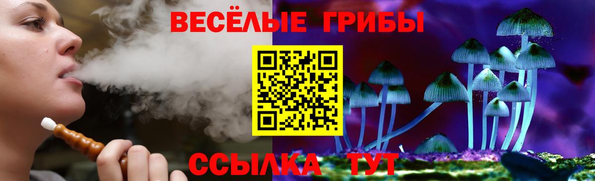 Галлюциногенные грибы MAGIC MUSHROOMS Камень-на-Оби